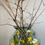 Thumbnail: Spring Terrariums