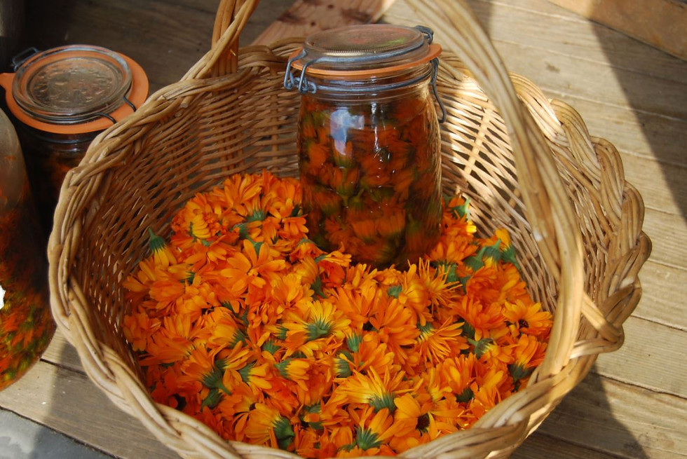 Miniature : Eaux florales, baumes, huiles et savons