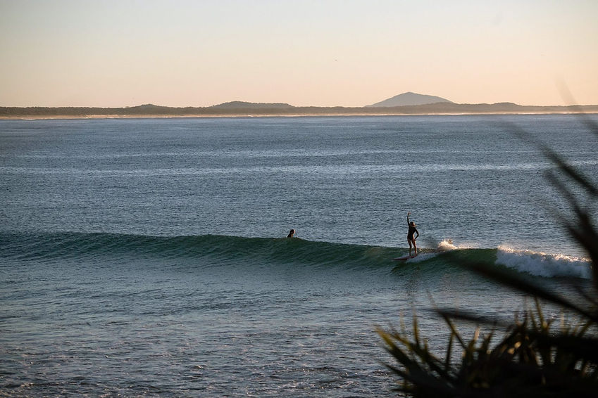 Surfaris_Crescent_head.jpeg
