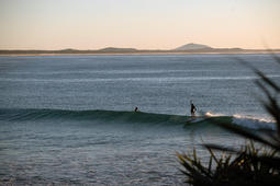 Surfaris_Crescent_head.jpeg