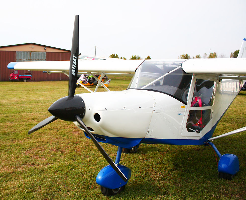ICP Savannah Elica Tripala PVV