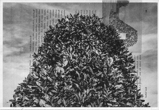 מדריד (גרינברג).jpg