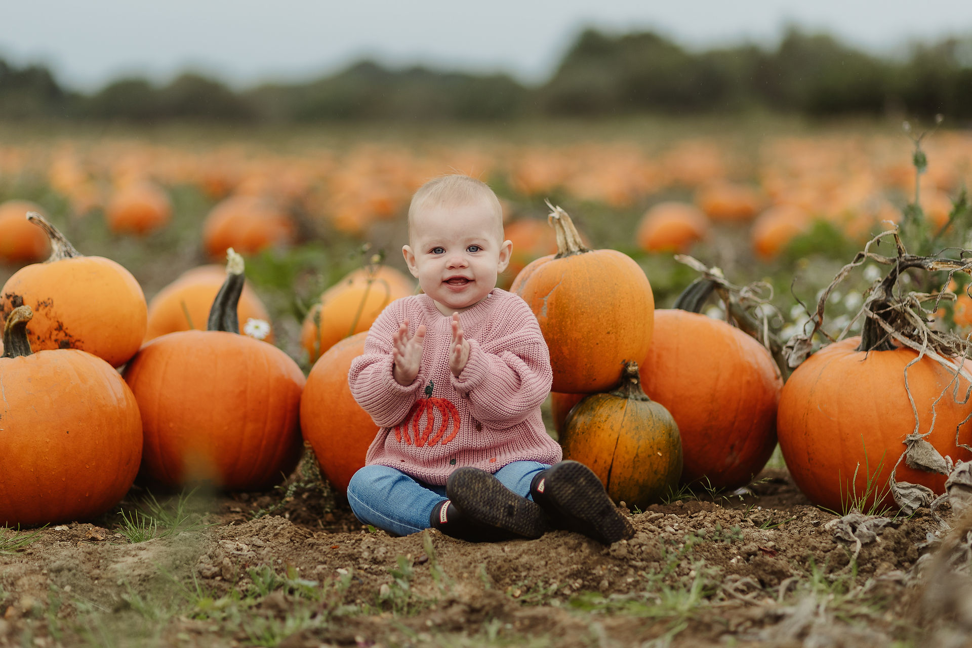 little toddler in a pink jumper smiles and claps her hands in the pumpkin field