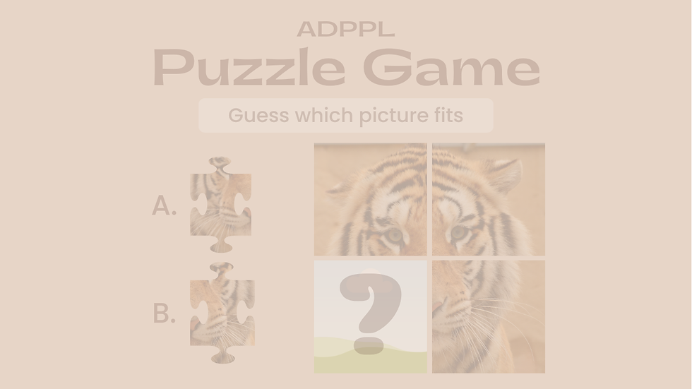 未命名 (網站).png