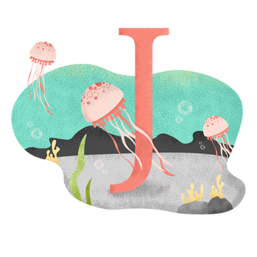 J為水母