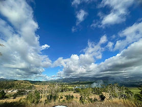 Freehold Blocks - FOR SALE