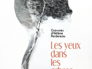 Les yeux dans les arbres