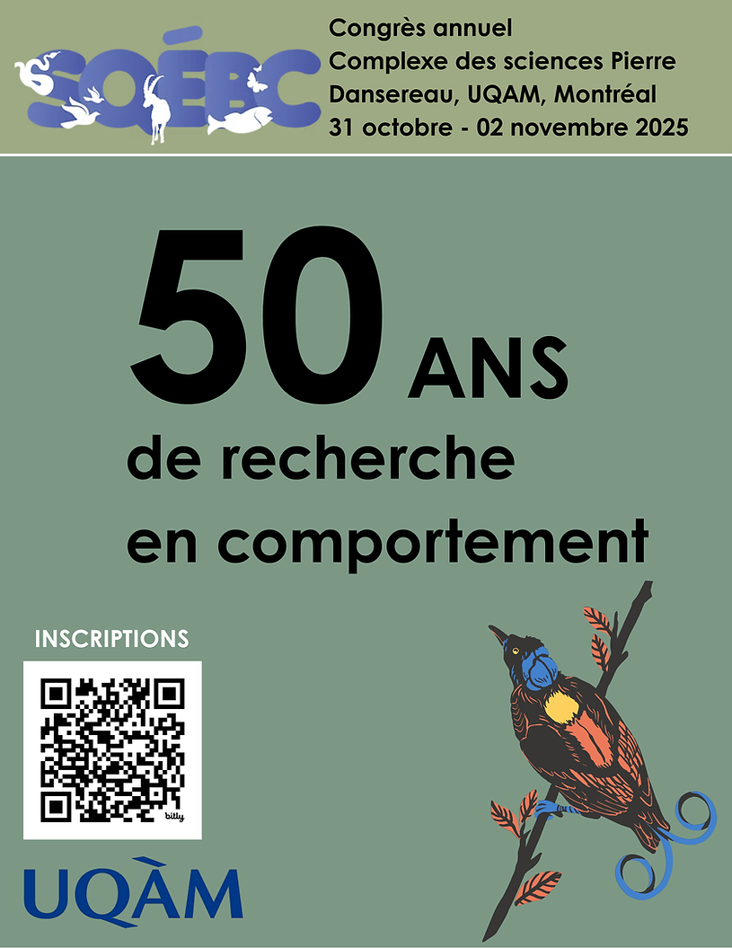 Affiche_SQEBC50.png