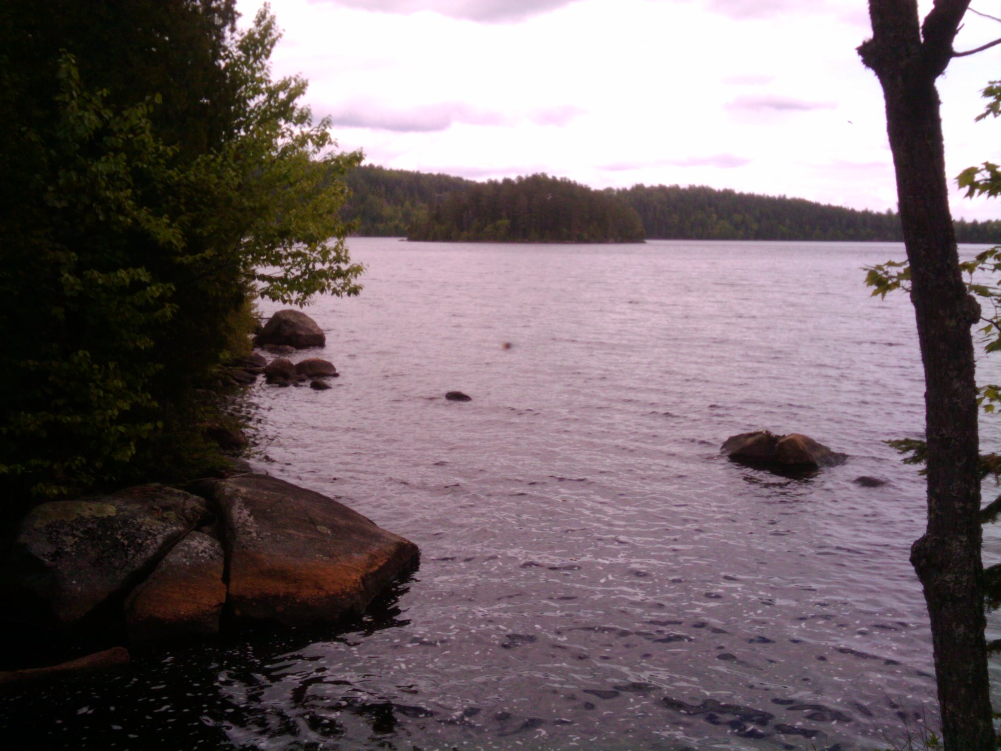 2018-06-07 15.44.38