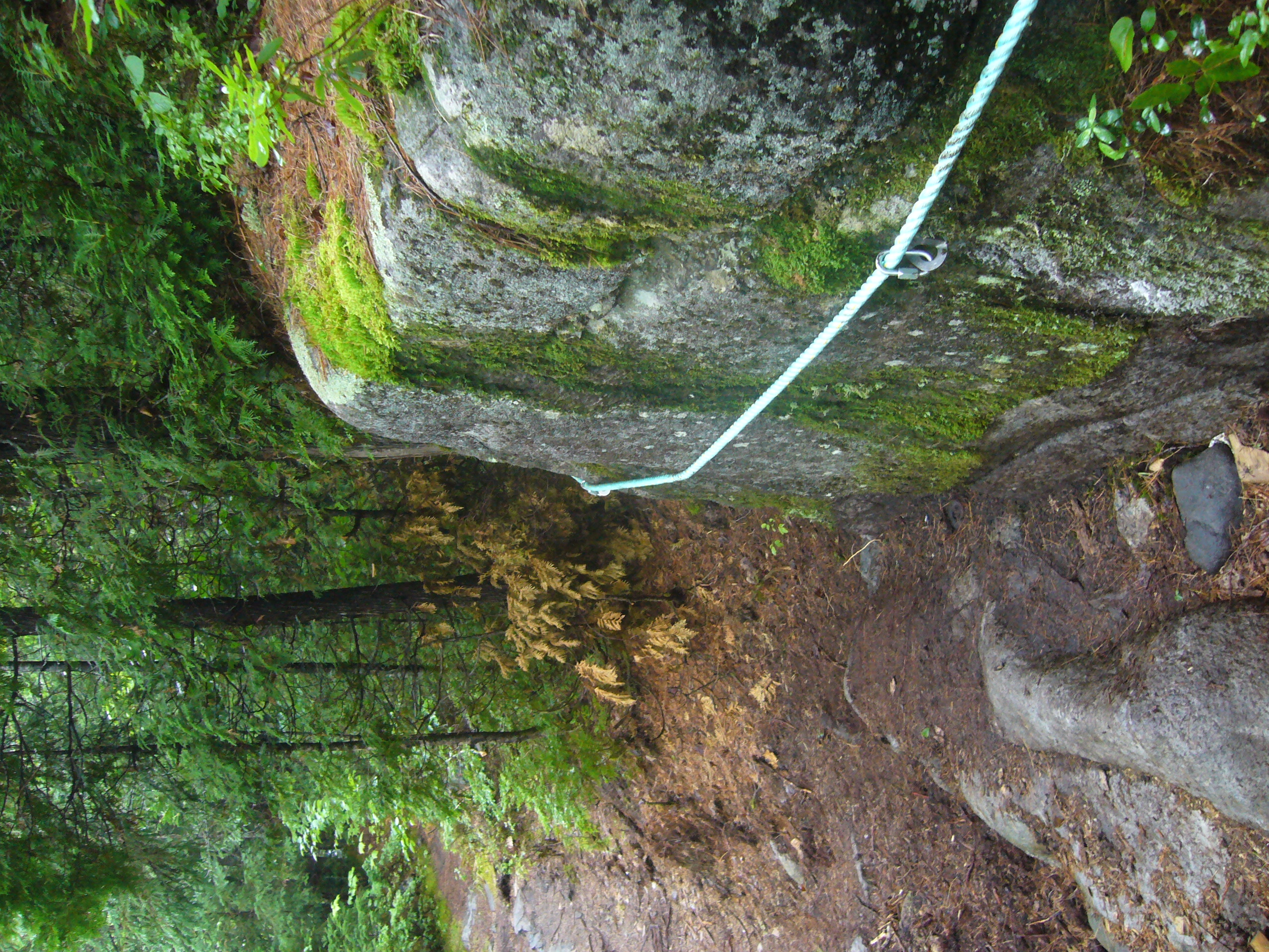 P1020168