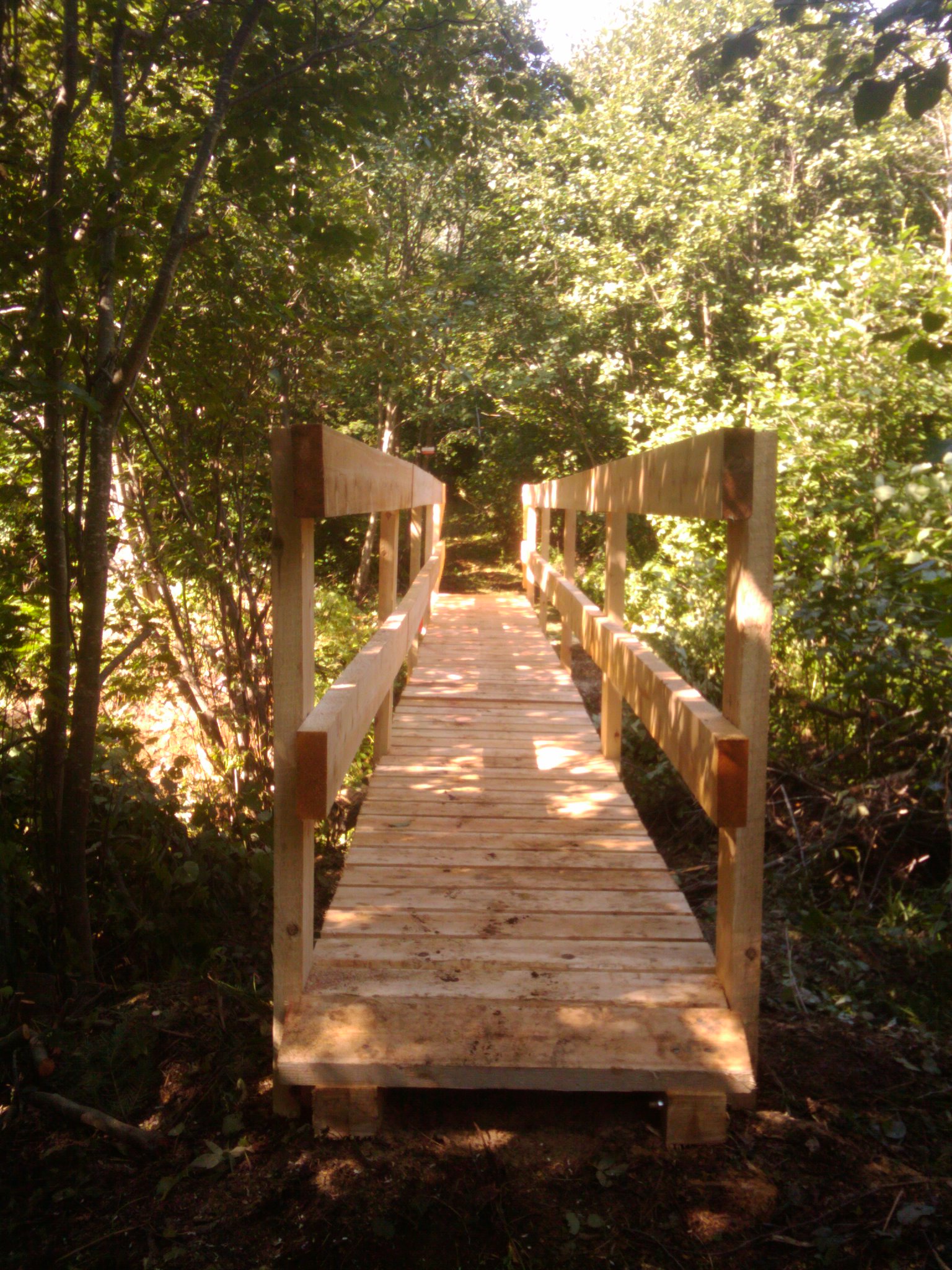 pont lac joe (6)