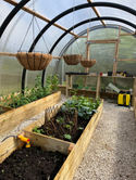UK Polycarbonate Tunnels, Storm Strength Growing Tunnels, WIndproof Greenhouse, Alternative to Polycrub