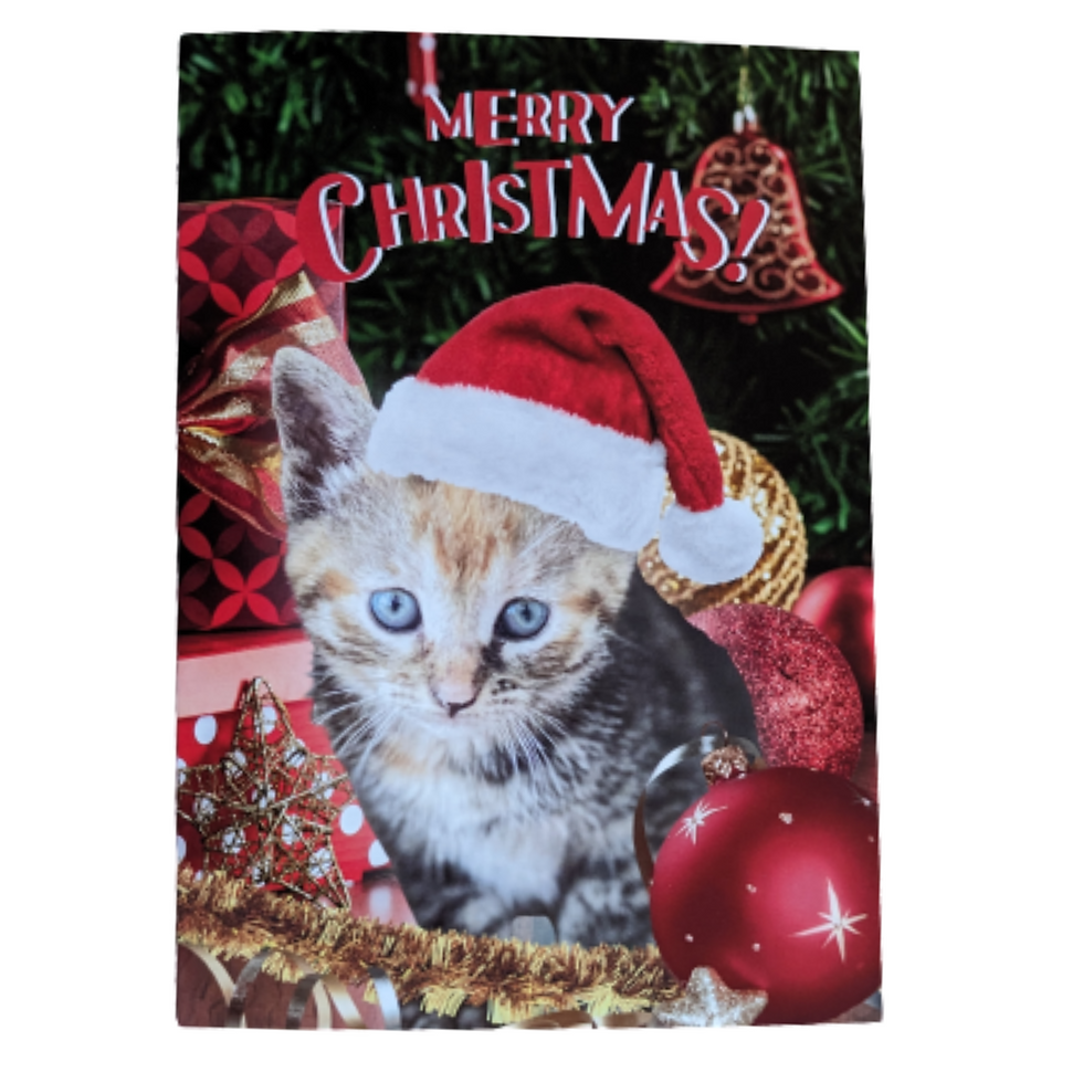 Thumbnail: A5 Christmas Card Packs (2, 4 & 5)