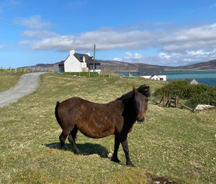 Harbour House Eriskay, self-catering, South Uist