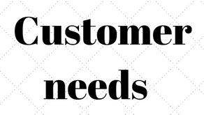 Lesson 1.2.1 Customer needs