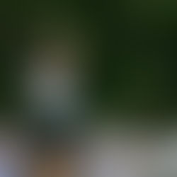 Golf NIL Movement: 2025-26 High School Season Opening Rankings