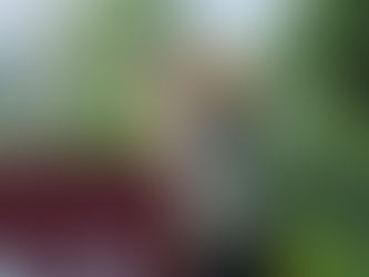 AROUND NIL | HUSTLE Act aims to turn NIL money into long-term wins