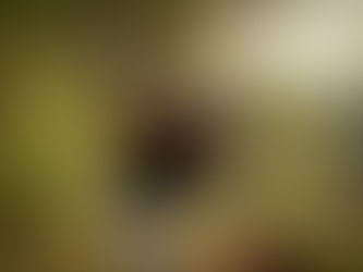 The evolution of Kevin Na