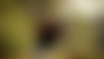 The evolution of Kevin Na