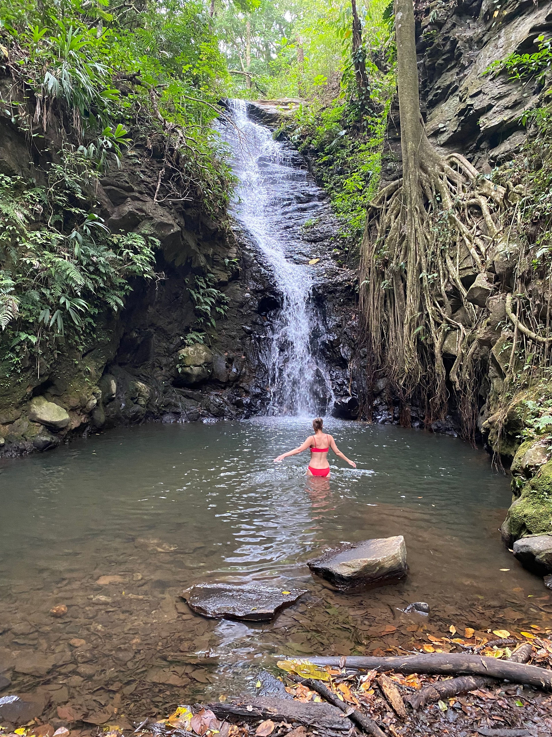 A waterfall with a person bathing in it.