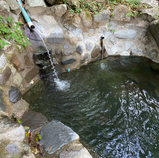 A hot spring with the hot water pouring into the pool.