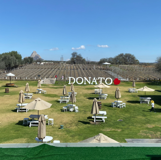 View of Donato winery