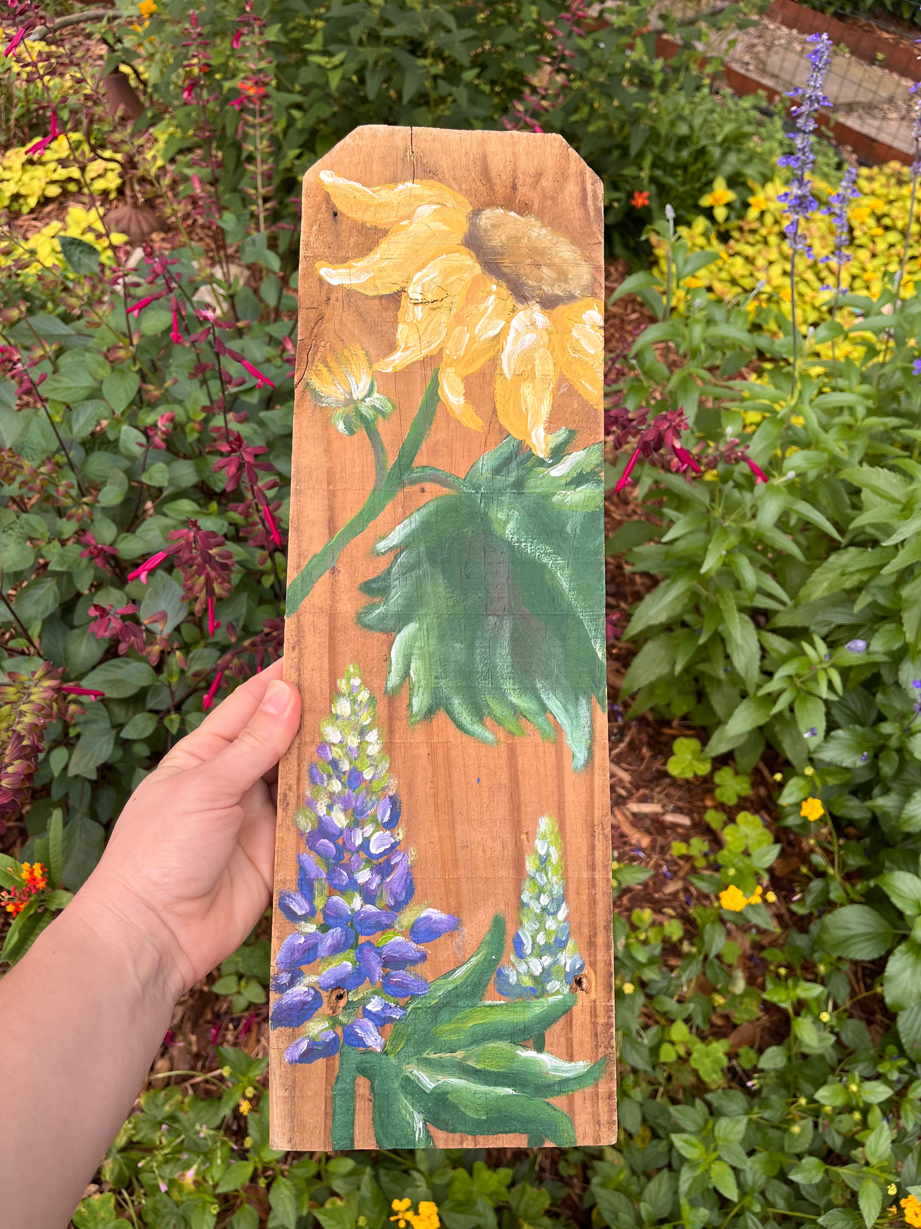 Classic Sunflower 