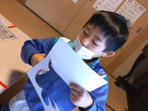 2月工作(菜の花畑✾)