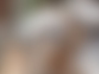 タケガワふれあい動物園