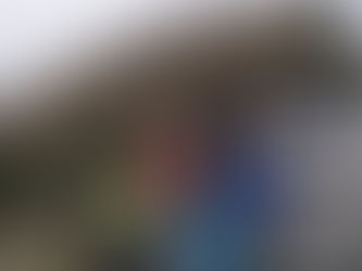 日の出の森(風車🌬)