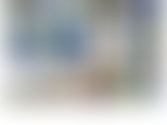 避難訓練を行い、自然。゚(゚^∀^゚)゚。体験!みかん狩り=͟͟͞͞🍊🍊͟͟͞͞ =🍊͟͟͞͞ =( '-' 🍊 )からの公園