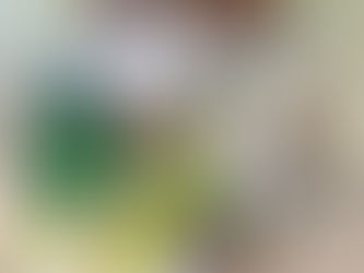 早いものでハロウィン🎃も終わり次は子どもたちの待ちに待ったXmas🎅🎄