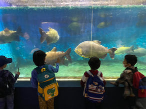 伊勢シーパラダイス🐬