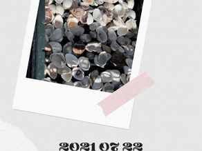 2021.07.22 海の日