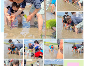 田植え体験෴行いました₍₍ ◟(∗ˊ꒵ˋ∗)◞ ₎₎