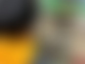 おでかけ🚋(グリーンパーク)