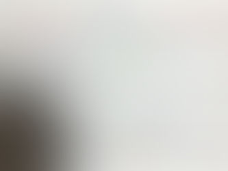 来年もどうぞ、plumeriaを宜しくお願い致します。