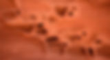 Untitled design (13)_edited.jpg