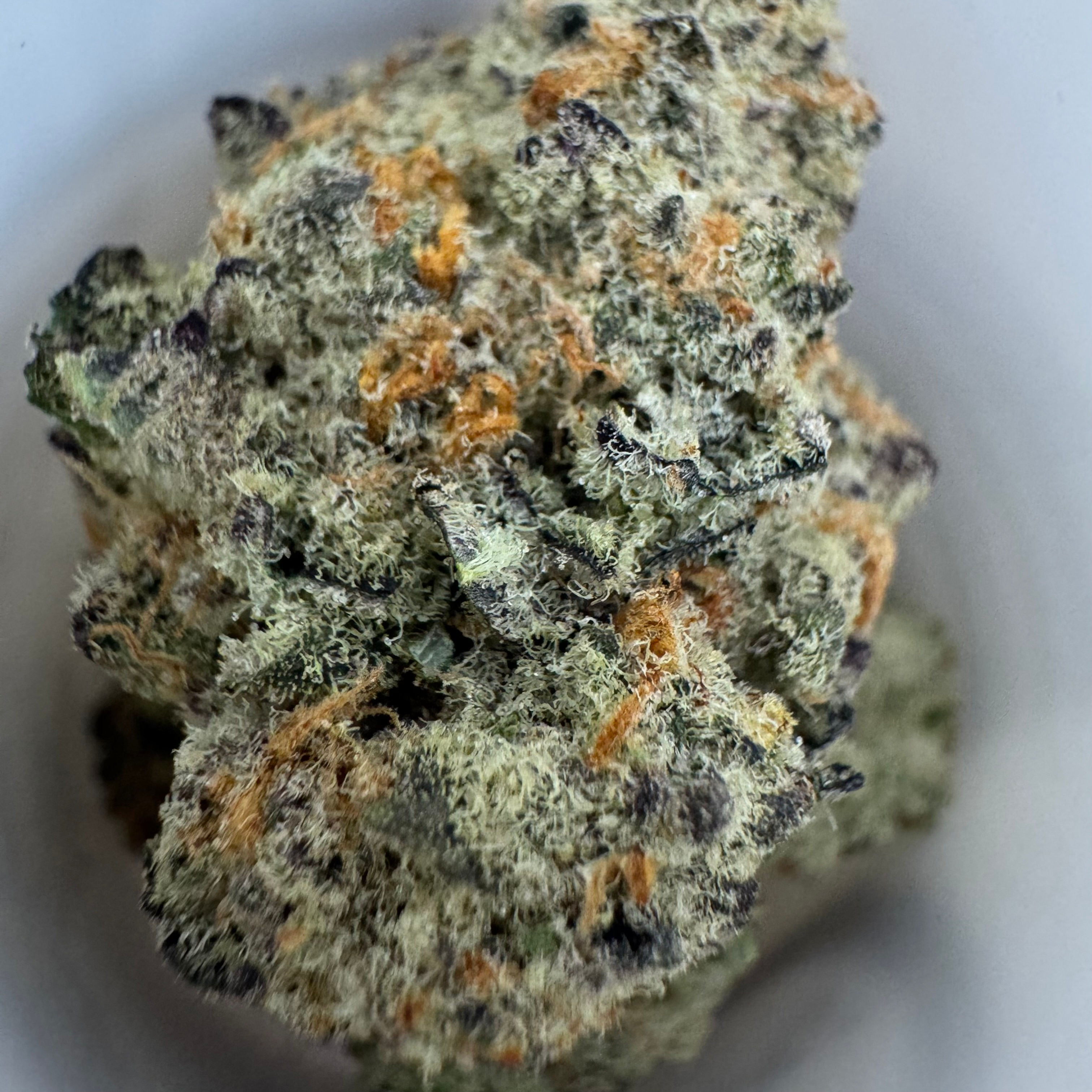 BOMB PERIGNON - 3.5G/EIGHTH