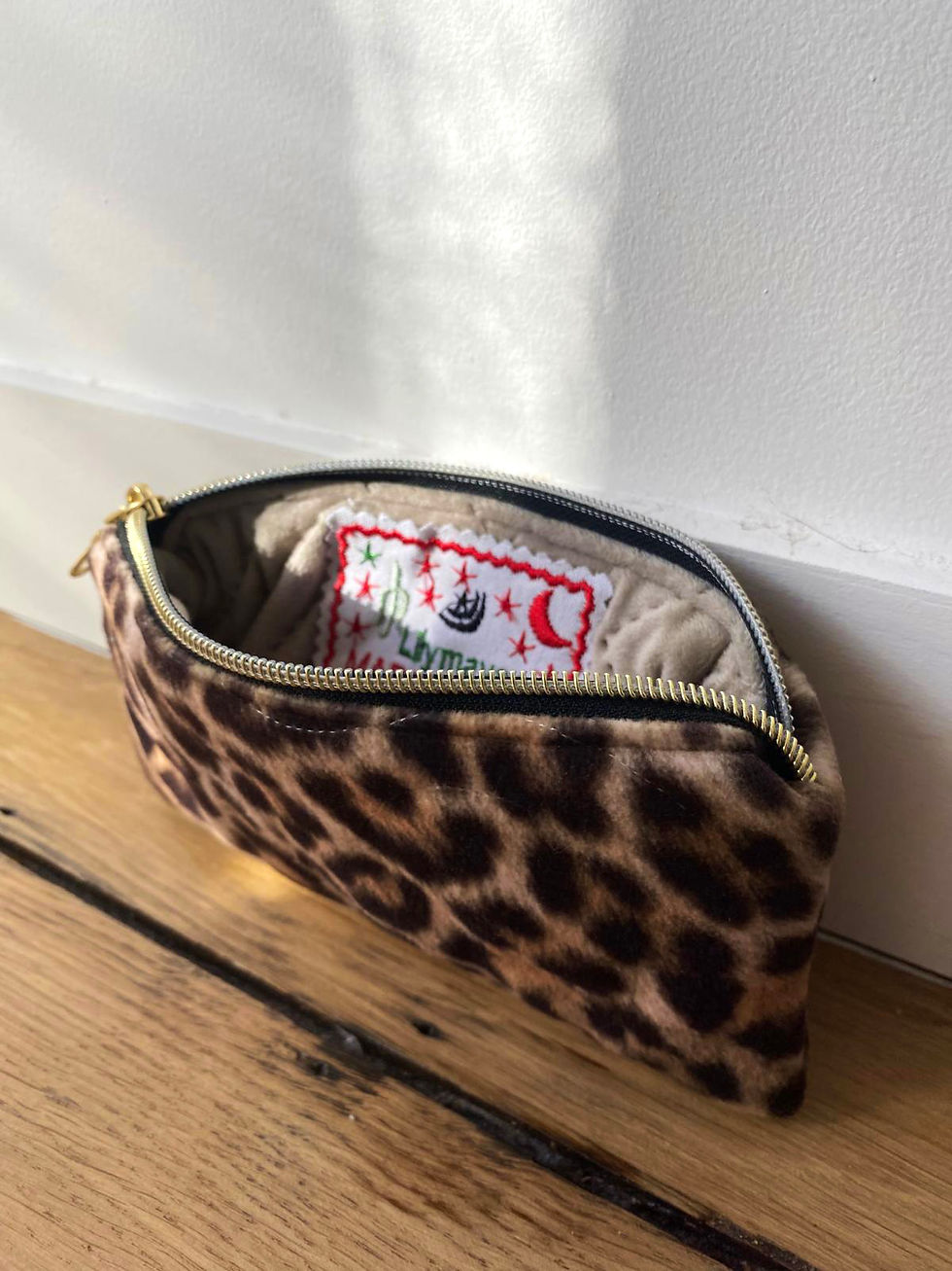 Miniature : Etui leo veloure