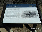 Surviving Children