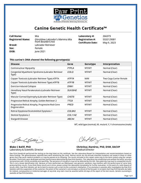 Mia Paw Print Health Certificate-page-001.jpg