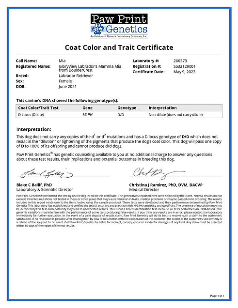 Mia Paw Print Dilute-page-001.jpg