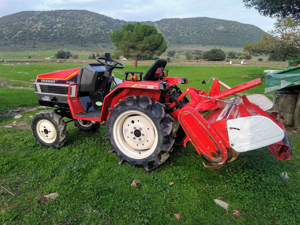 Miniatura: Minitractor Yanmar F 165