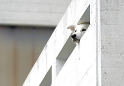 balcony-777876_640.jpg