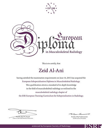 ESSR 17_Diploma Certi_Al-Ani copy_1.jpg