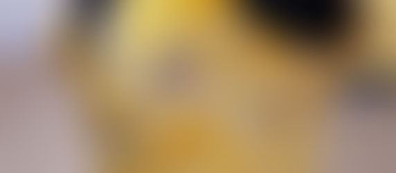 Creativity or Formal Dressmaking Skills?