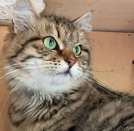 WhatsApp Image 2023-01-17 at 2.41_edited.jpg