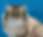 Captura de pantalla 2026-03-19 a la(s) 6.50.50 p.m..png