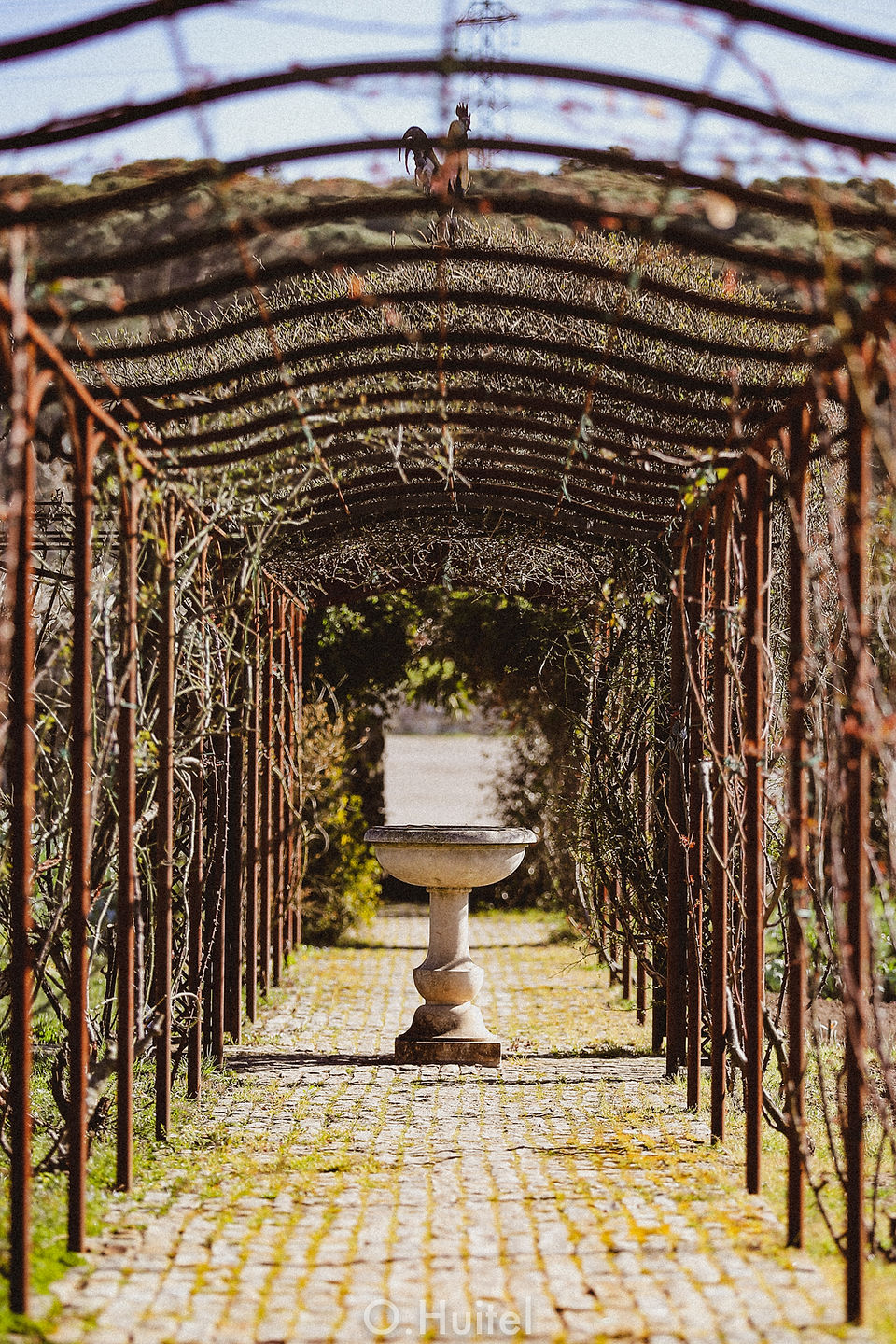 Le Clos des Roses.